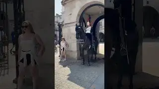 Respectful TOURISTS  - Thank you for NOT distracting the HORSE 👏👏 #kingsguard #horse #londonwalk