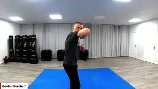 FREE Martial Arts Classes - LIVE