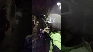 Pacos Criminales