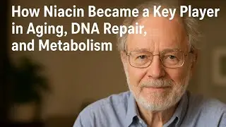 The Evolution of Vitamin B3: From Nutrient to Multi-Organ Therapy
