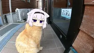 Okayu cat get banned | Animal hololive