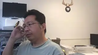 Live code