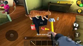 Scary Teacher 3D: Is This Food Safe?! Testing EVERY Item on the Cat!