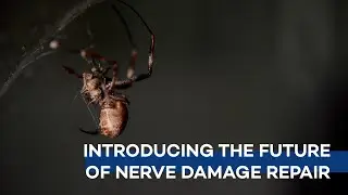 Newrotex - MedTech Innovator 1 Minute Video