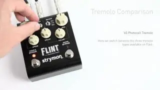 Strymon Flint - Tremolo Only Audio Examples