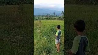 momen menegangkan saat menjelajah #shorts #shortsvideo  #adventure #aahedi