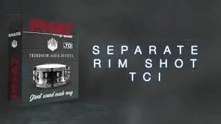 Phat Snare Samples (Trondheim Audio Devices)