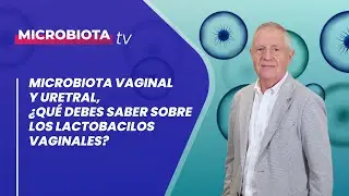 Microbiota vaginal y uretral, ¿qué debes saber sobre los lactobacilos vaginales?