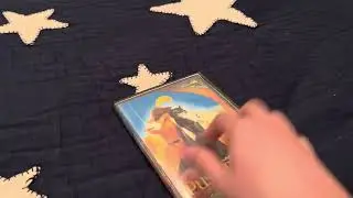 My childhood bootleg DVD of Puss In Boots (2011)