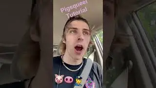 Pigsqueel Tutorial (Short)