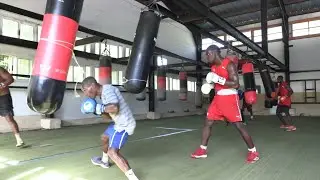 El boxeo cubano avanza hacia una nueva era en el pugilismo profesional