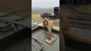 Curious Monkey Accidentally Launches Military Rocket! 🤯🚀