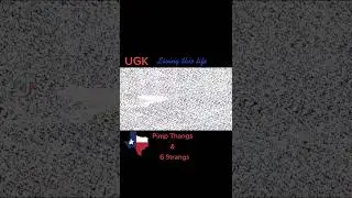 Pimp C Guitar  - UGK - Pimp thangs n 6 strings - Living this life