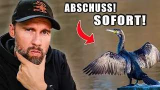 ANGLER wollen VÖGEL ABSCHIEßEN – Diese Argumente sind FALSCH | Robert Marc Lehmann