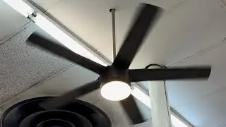HDC Merwry Ceiling Fans at a Thrift Store