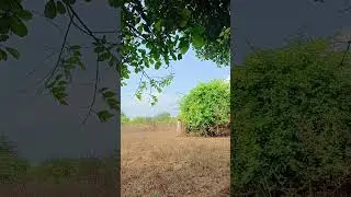 Breezy adventure in Kelwa Road ki wadi &mdash; Karwanda dhundte hue, hawa ka zabardast jhatka! 🍃💨