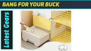 Удивительный кошачий вольер! Рай для счастливых котят своими руками