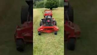 Quick tour of a Suffolk Garden