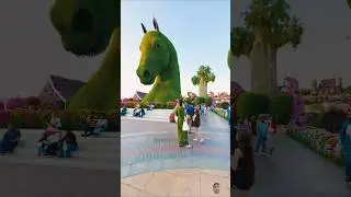 Miracle Garden view amazing #ytshorts #travel #dubaivlog