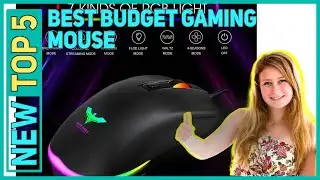 ✅ Best Budget Gaming Mouse 2021 - Top 5 BestBest Budget Gaming Mouse