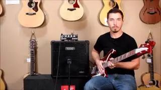 Quilter Bass Block 800 | Swing City Music