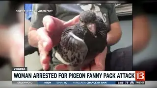 Woman arrested for pigeon fanny pack attack