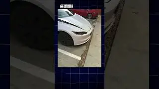Активный капот Tesla Model 3 был раскрыт после встречи с кенгуру в Австралии