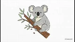 The Koala, Tick & Bacteria