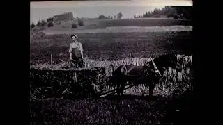 Kyrkjebøungane - Høyonna - 1994