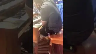 These Cats Smashed ! 🔥🥁🎹🎸