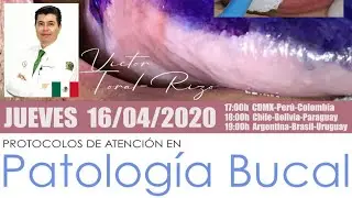 CONVERSATORIO 24 | Protocolos de atención en Patología Bucal | Victor Toral