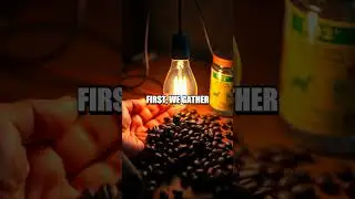 Can Coffee Beans Light Up a Bulb?