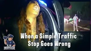 Simple Traffic Stop Quickly Escalates - EJV BODYCAM