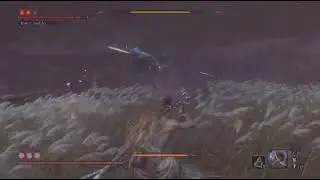 Sekiro Inner Isshin No Hit
