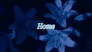 Home - Edward Sharpe & The Magnetic Zeros