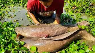 Giant Size Catfish Hunting From Mud Water | Did you see Monster Catifsh before? | Mud Water Fishing