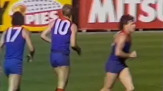 1986, Rd 19 - Danny Hughes - Melbourne v Geelong, MCG