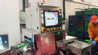 Food X Ray Machine