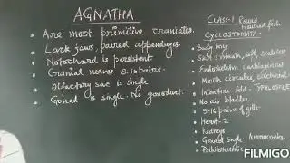 Agnatha and Gnathostomata