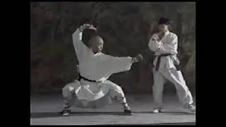 Shaolin Luo Han Quan. Shaolin Arhat Boxing Combat technique