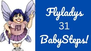 Flyladys 31 Baby Steps - Broken Down into Each Day!