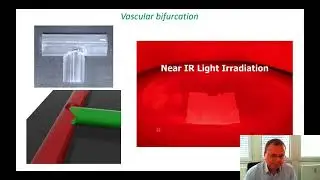 4DMDA-2022 - Leonid Ionov - Possibilities and limitations of 4D biofabrication