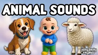 Animal Sound Song for Kids 🐶🐱🐑 | Jelly Belly Rhymes