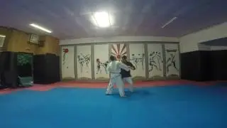 Kihon Kata