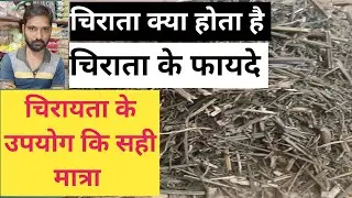 चिराता क्या होता है | चिराता के फायदे | चिरायता के उपयोग कि सही मात्रा