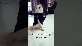 Girls during Ramadan vs on eid|#cat #ramadan #eid #cats #girl #muslim #shorts