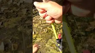 Hooksets are free 🤙