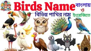 Birds Name | বিভিন্ন পাখির নাম | Birds Name IN Bengali To English | Birds Name For Kids| Birds Name 
