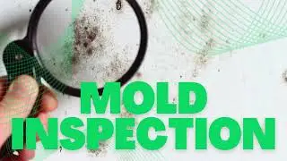United Mold Inspections - Mold Inspection & Testing South Florida