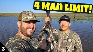A SOLID 4 Man Limit of Teal! Duck Hunting in Nebraska